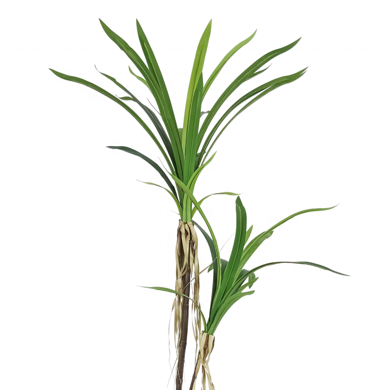 Fake Plants Hot Selling 120cm Dracaena Sanderiana Dracaena Realistic Looking Artificial Plant Artificial Tree Yooly Plants - YL208087