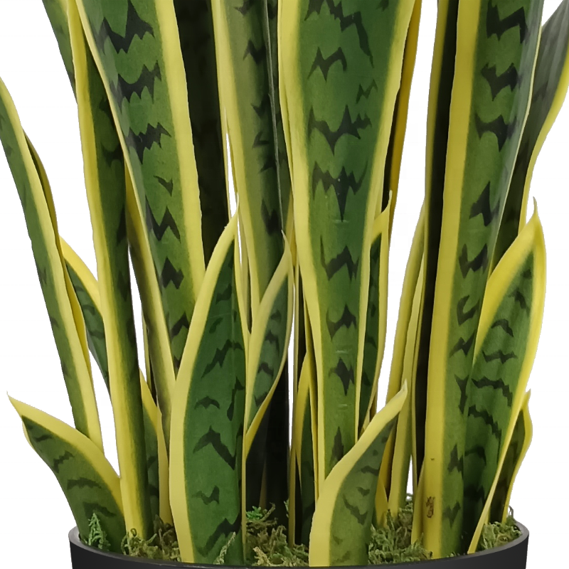 Spot Wholesale Artificial Plants Potted Artificial Plants Resistant Plastic Snake Plant For Home Decor Indoor Yooly Plants - YL137220026