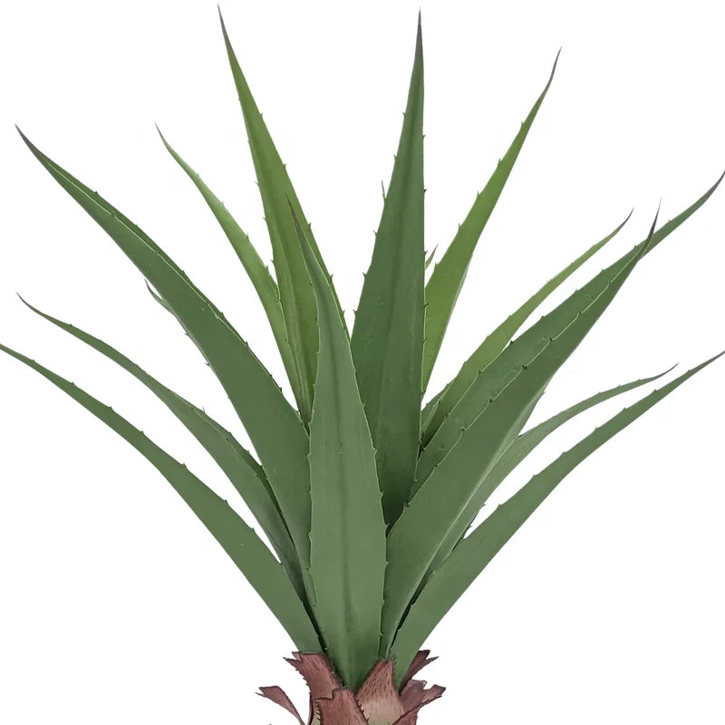 Artificial Agave Artificial Plants 73cm Tall Yooly Plants Spring Easter Artificial Plant Artificial Plant Agave - YL137220005