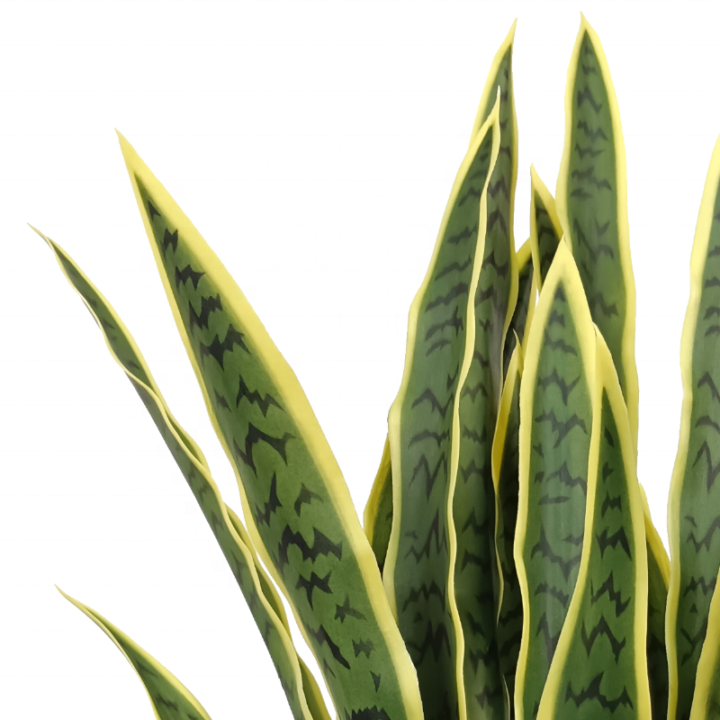 Spot Wholesale Artificial Plants Potted Artificial Plants Resistant Plastic Snake Plant For Home Decor Indoor Yooly Plants - YL137220026