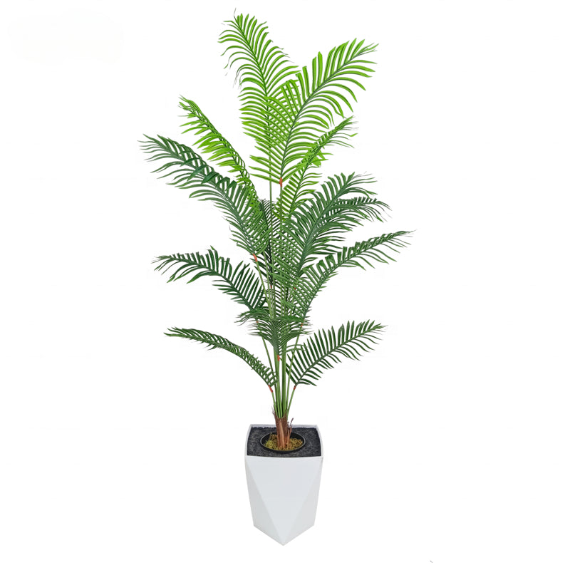 Fake Plants China Quality Tree 200cm Large Synthetic Palm Tree Artificial Canada Palm Trees for Decoration Yooly Plants - YL010154