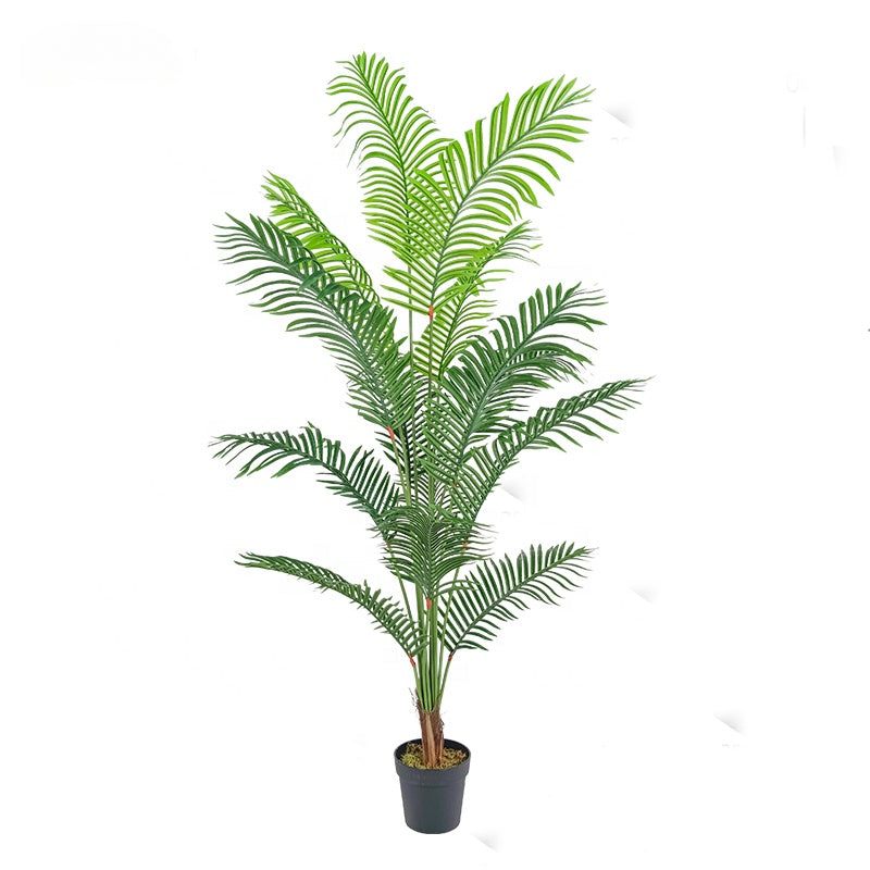 Fake Plants China Quality Tree 200cm Large Synthetic Palm Tree Artificial Canada Palm Trees for Decoration Yooly Plants - YL010154