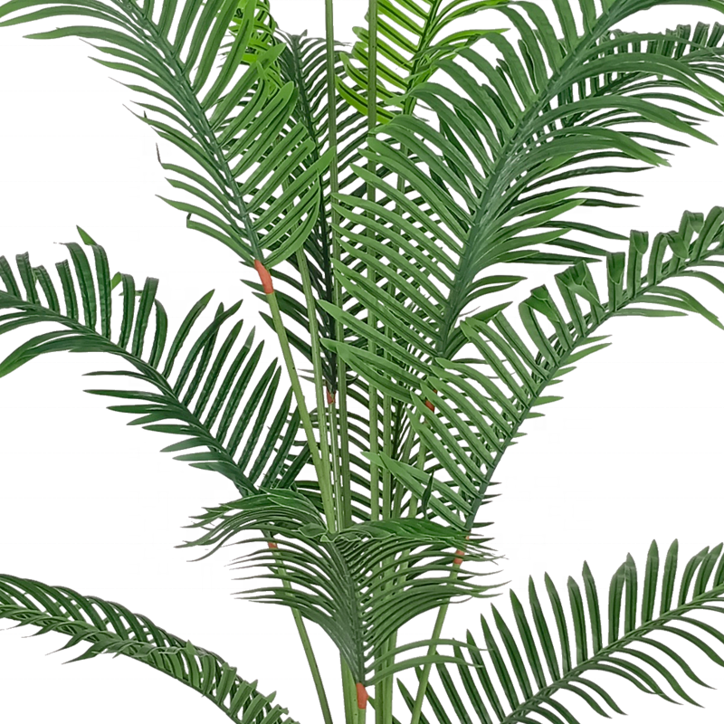 Fake Plants China Quality Tree 200cm Large Synthetic Palm Tree Artificial Canada Palm Trees for Decoration Yooly Plants - YL010154