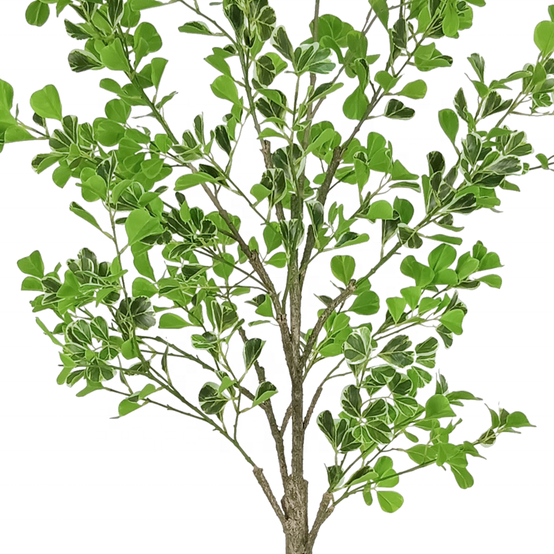 Fake Plants New Design Top Quality 180cm 6ft Plastic Bonsai Plant Tree Fake Tree Artificial Dec Artificial Ficus Tree for Home Decor Yooly Plants - YL208210