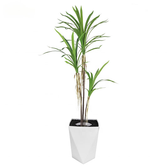 Fake Plants Highly Simulation 150cm 5ft  Room Decorative Dracaena Draco Artificial Dracaena Plant Yooly Plants - YL208088