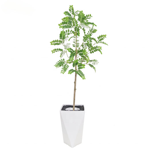 Fake Plants Customization New 120cm 4ft  Two Color Green Leaves Chinese Scholar Tree Locust Tree for Indoor Outdoor Home Decoration Yooly Plants - YL208211