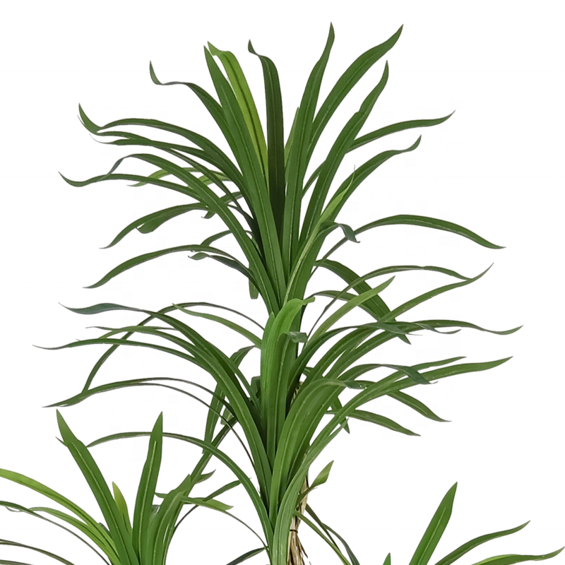 Fake Plants Customization 210cm Large Dracaena Stem Dracaena Cochinchinensis Dracaena Angustifolia Artificial Palant Tree Yooly Plants - YL208089