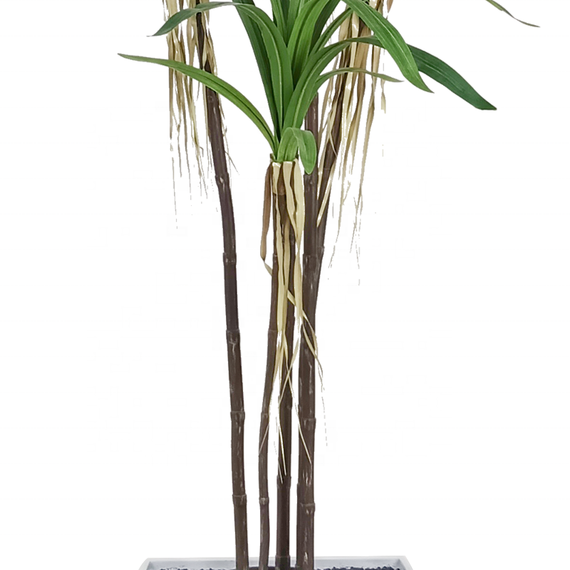 Fake Plants Customization 210cm Large Dracaena Stem Dracaena Cochinchinensis Dracaena Angustifolia Artificial Palant Tree Yooly Plants - YL208089