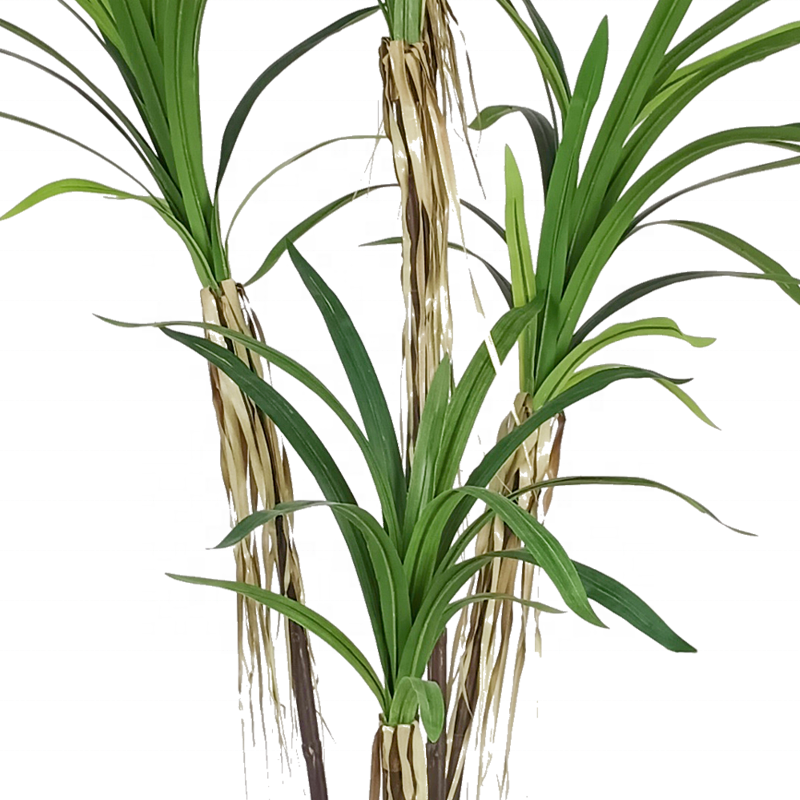 Fake Plants Customization 210cm Large Dracaena Stem Dracaena Cochinchinensis Dracaena Angustifolia Artificial Palant Tree Yooly Plants - YL208089