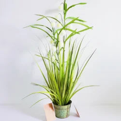 Artificial Onion Grass in Pot Plant Faux Bonsai Simulated Snowball Grass for Home Indoor Outdoor Decor Yooly Plant - YLS0024