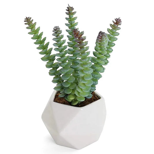 7" Artificial Succulents Faux Succulents in Ceramic Vase for Home Decor  Potted Artificial Plants Office Decoration Yooly Plants - YL212001