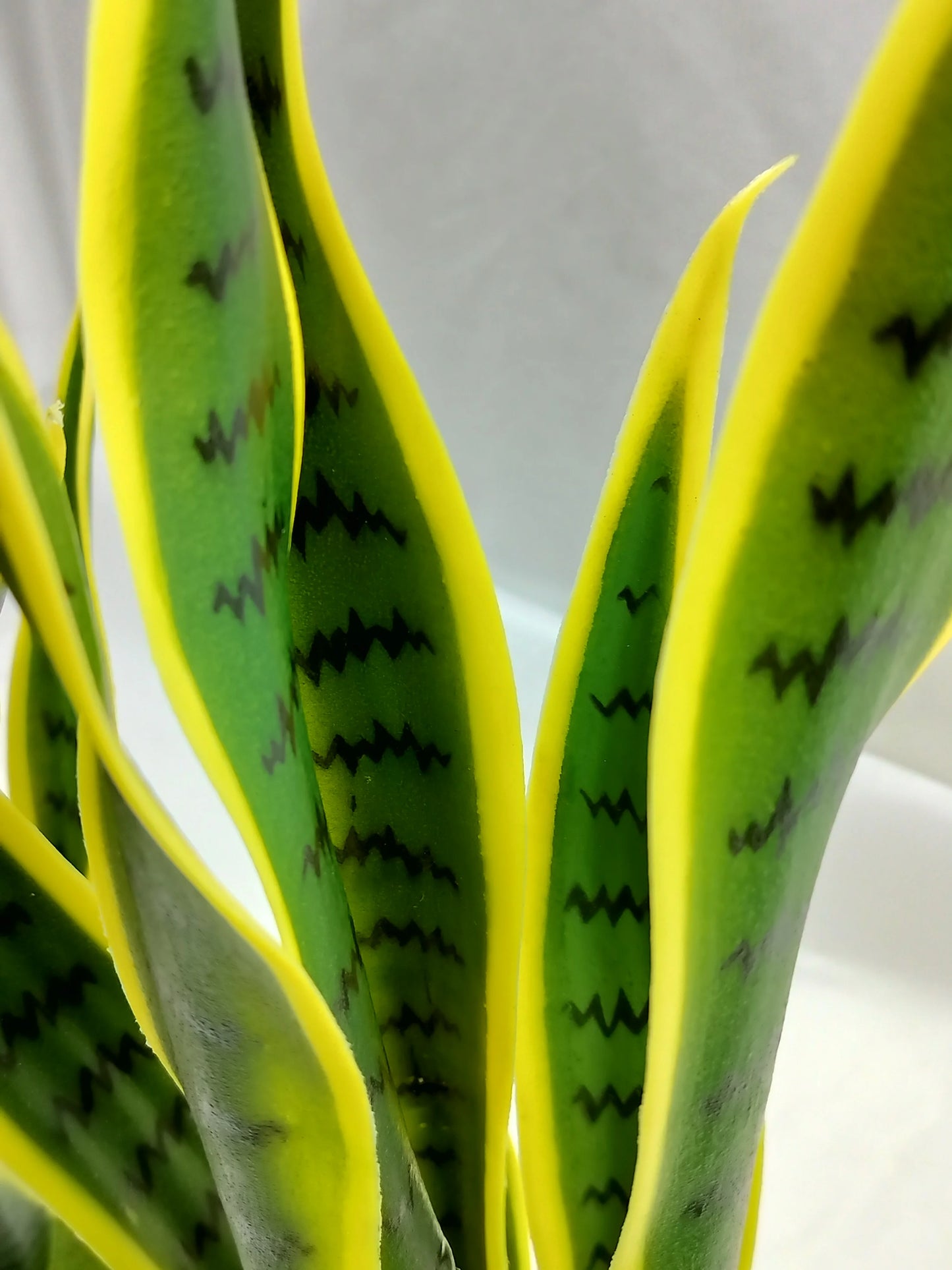 Artificial Plants in Pots Potted Artificial Snake  Plants  Artificial  Plants Yooly Plants - YLS10042