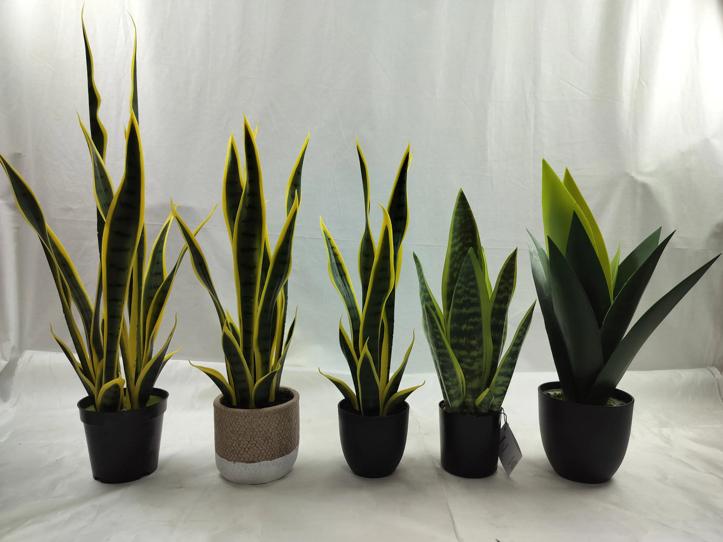 Artificial Plants in Pots Potted Artificial Snake  Plants  Artificial  Plants Yooly Plants - YLS10042