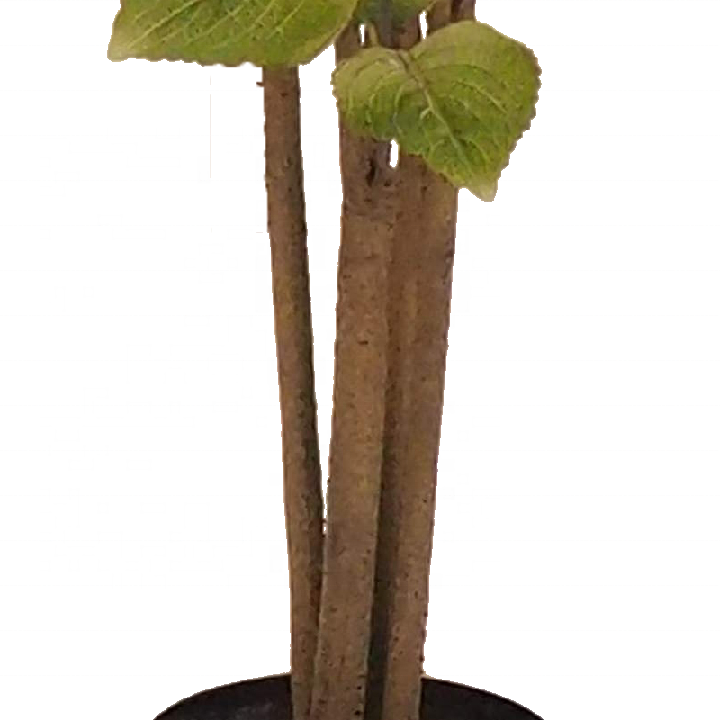 Fake Plants 120cm 4ft Artificial tree with Lifelike 346 Leaves Faux Plant Artificial Perilla Tree for Living Room Bedroom Balcony Corner Off Yooly Plants - YL004200078