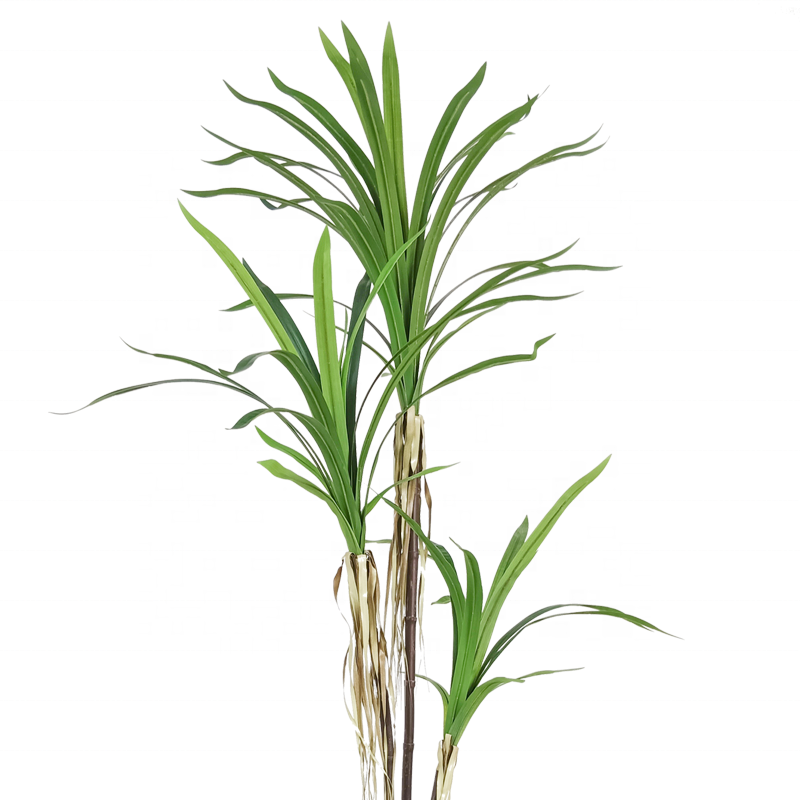 Fake Plants Highly Simulation 150cm 5ft  Room Decorative Dracaena Draco Artificial Dracaena Plant Yooly Plants - YL208088