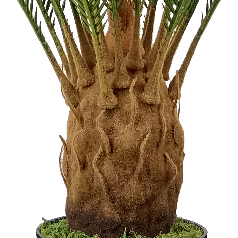 Factory Directly Home Decoration Plant Artificial Sago Cycas for Indoor Decoration Yooly Plants - YL137220024
