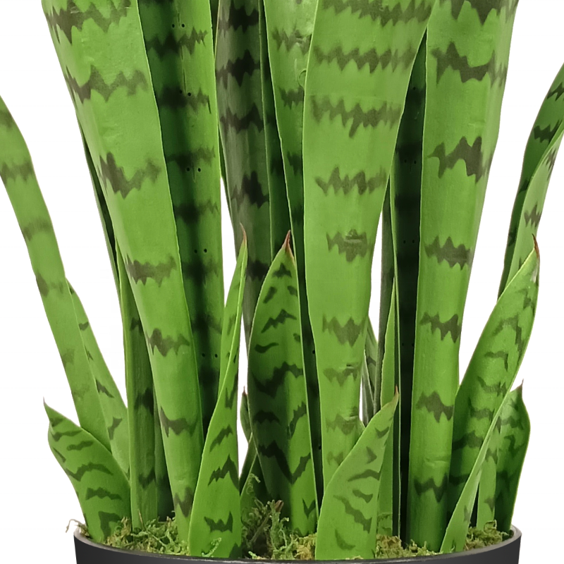 Faux Fake Big Artificial Snake Plants With White Pot For Garden Outdoor Indoor Decoration Yooly Plants - YL137220027
