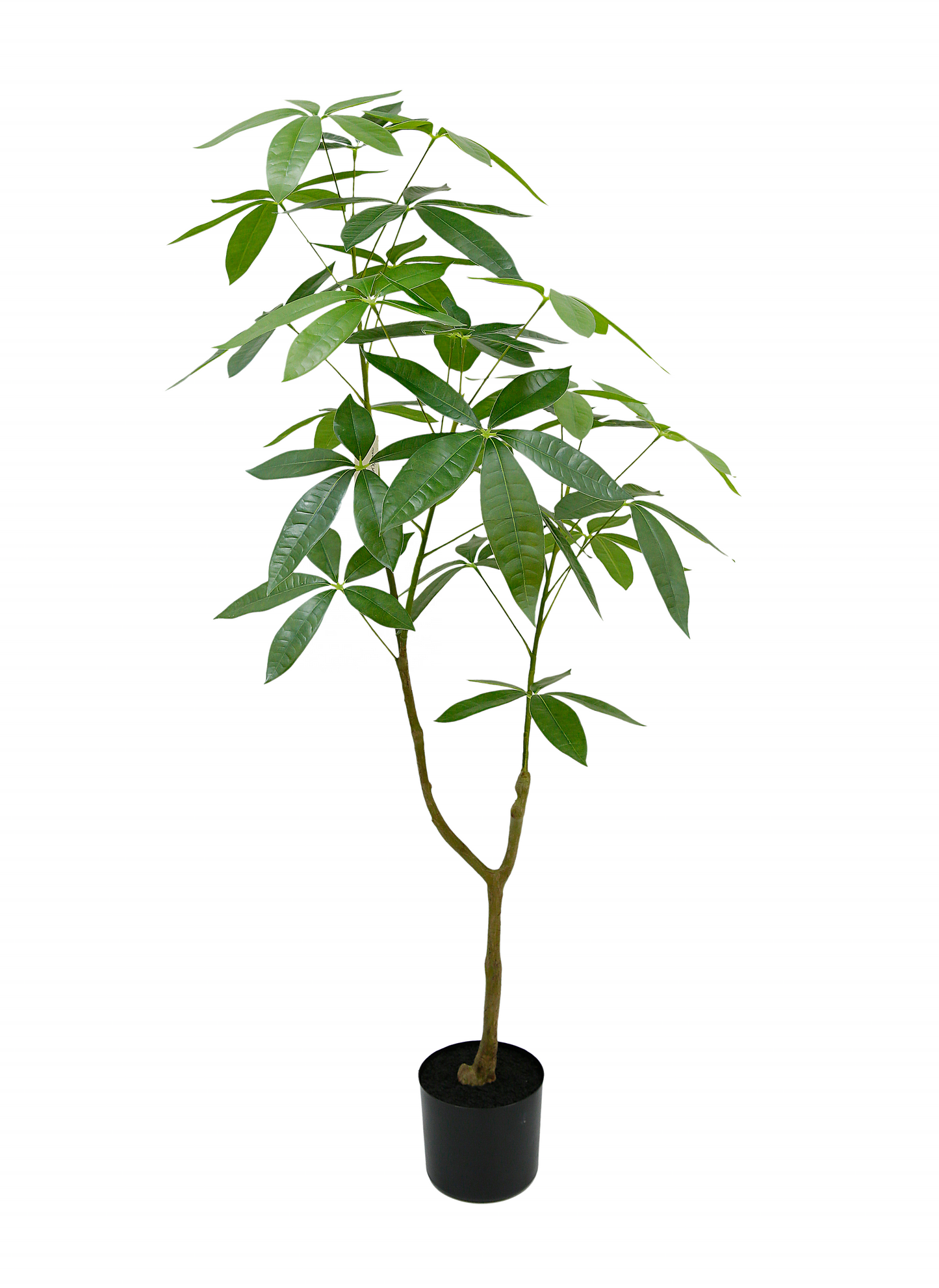Factory Wholesale Artificial Bonsai Tree Artificial Plants Faux Plants Fake Plants Plastic Fortune Money Tree Yooly Plants - YL193041