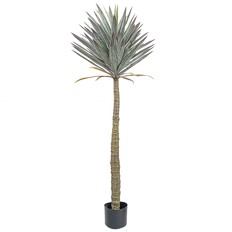 Customization Multi Sized Artificial Bonsai Tree Yucca Falsa Artificial Artificial Yucca Bonsai Yooly Plants - YL154220017