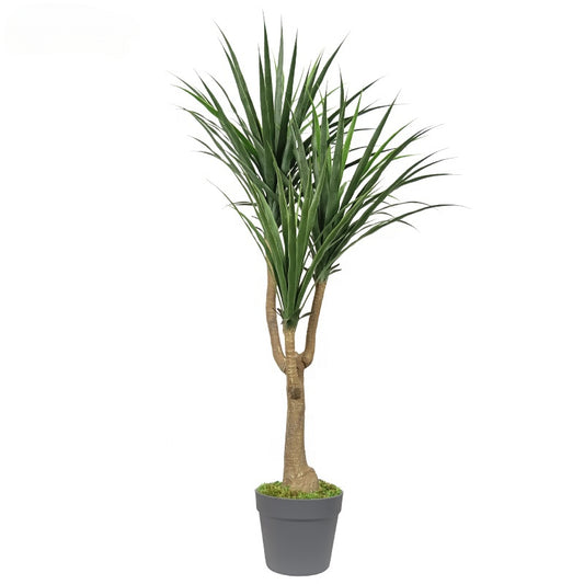 Quality Artificial Plant Dracaena Plant Foliage Plants Plastic Dracaena Bonsai Trees For Outdoor Indoor Decoration Yooly Plants - YL137220031