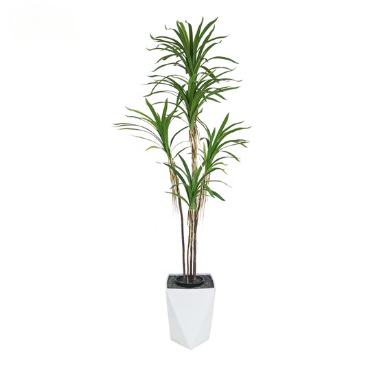 Fake Plants Customization 210cm Large Dracaena Stem Dracaena Cochinchinensis Dracaena Angustifolia Artificial Palant Tree Yooly Plants - YL208089