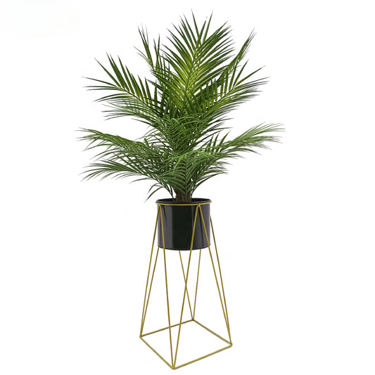 Decorative Artificial Fake Bonsai Palm Tree Leaves Artificial with Pot Faux Simulation Plants Yooly Plants Artificial Palm Tree - YL211050