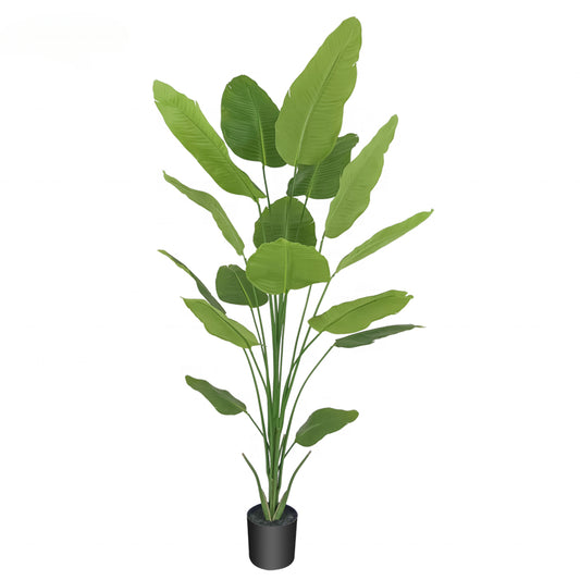 Realistic High Quality 210cm 7ft Big Green Artificial Palm Trees Canada Traveller's Palm Tree for Decoration Yooly Plants - YL208053