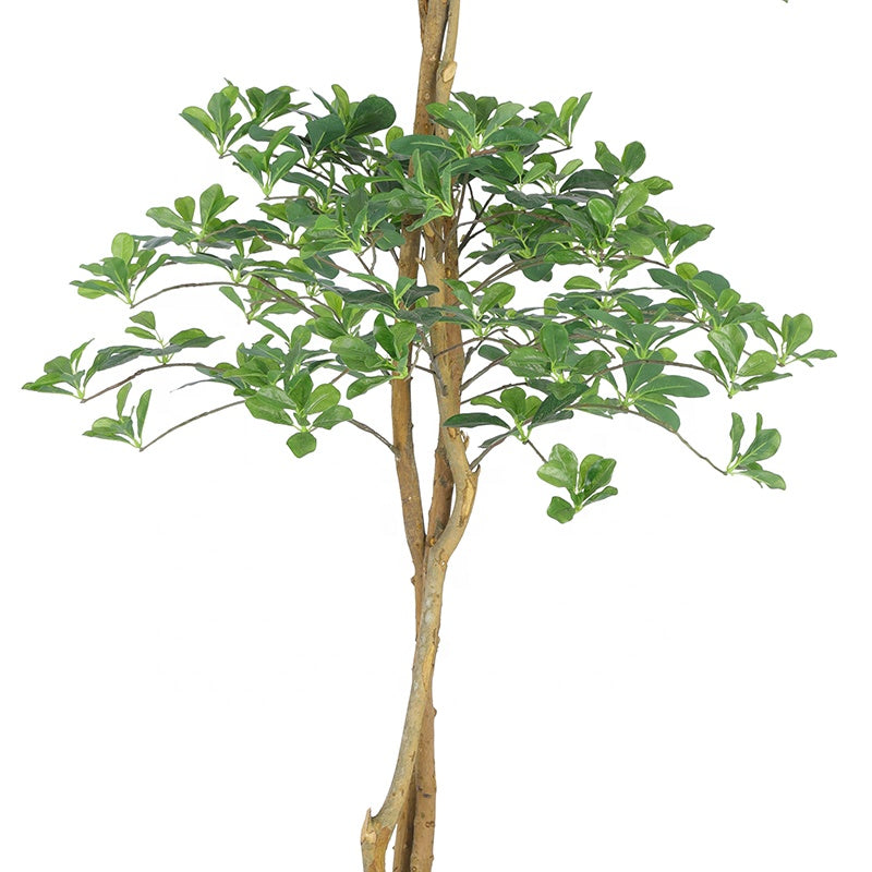 High Quality 180cm Wholesale Artificial Plants Artificial Schefflera Octophylla Tree for Indoor and Outdoor Decoration Yooly Plants - YL008032