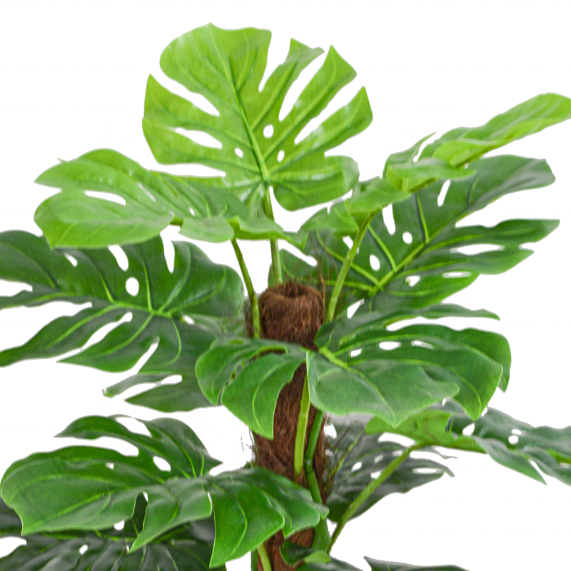 Hot Selling 80cm Tall  Artificial Tree for Outdoor Monstera Artificial Tree Plant for Home Hotel Decoration Yooly Plants - YL211078