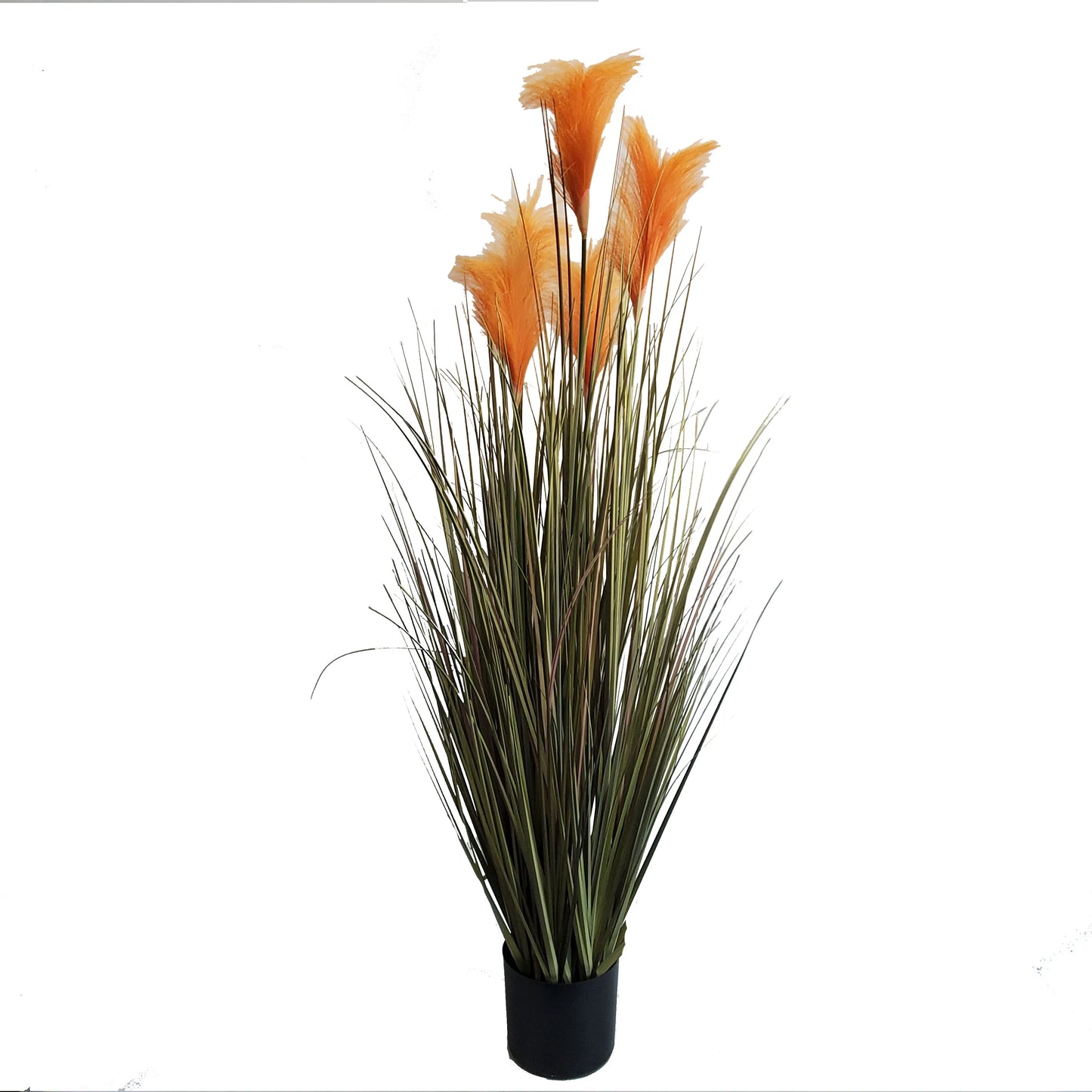 Plastic Simulation Flower Artificial Reed Grass Potted Bouquet Flowers and Plants 5 Heads Artificial Plant  Yooly Plant - YLS0040