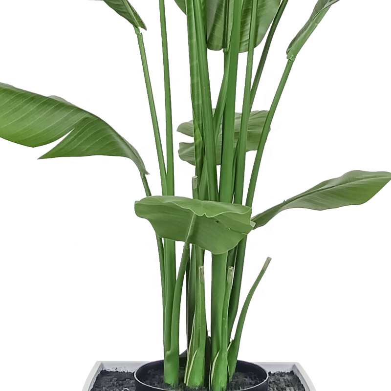 Fake Plants Top Quality 180cm Luxury Artificial Palm Tree Material Artificial Traveller's Palm Tree for Home Shipping Mall Yooly Plants - YL208221