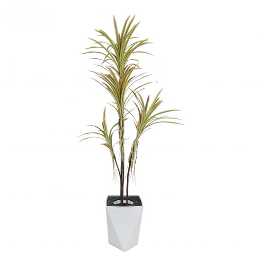 Fake Plants Home Wedding Realistic Looking Plant Decorative Tree 180cm  Dracaena Silk Plant Dracaena House Plant Yooly Plants - YL208171